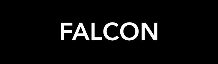 Falcon Car Rental Logo